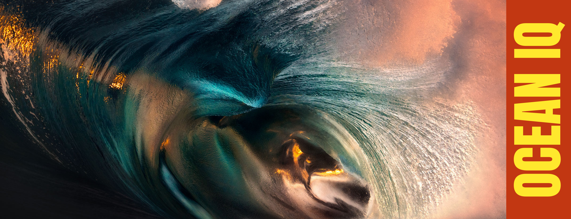 Full Moon, Fish, Sharks and the Reality of Reading the Ocean in Australia
