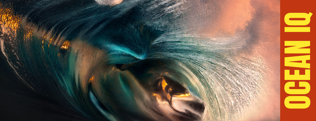 Full Moon, Fish, Sharks and the Reality of Reading the Ocean in Australia