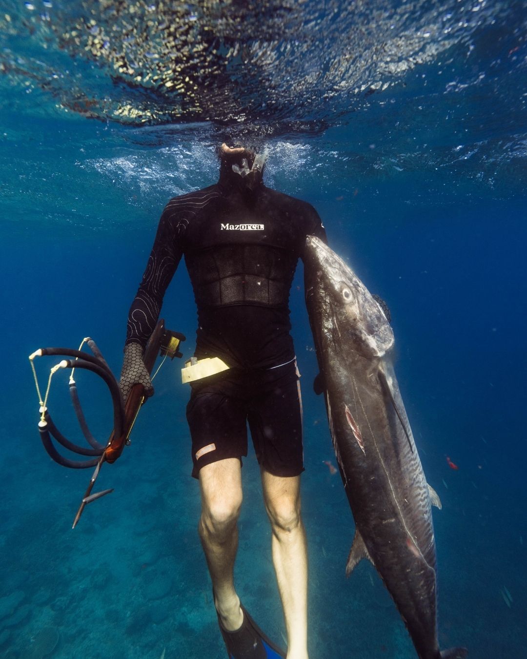 FusionX Hooded Rashguard