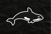 MAZORCA Logo Sticker Pack