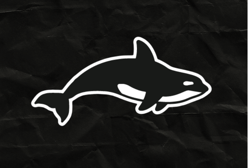 MAZORCA Logo Sticker Pack
