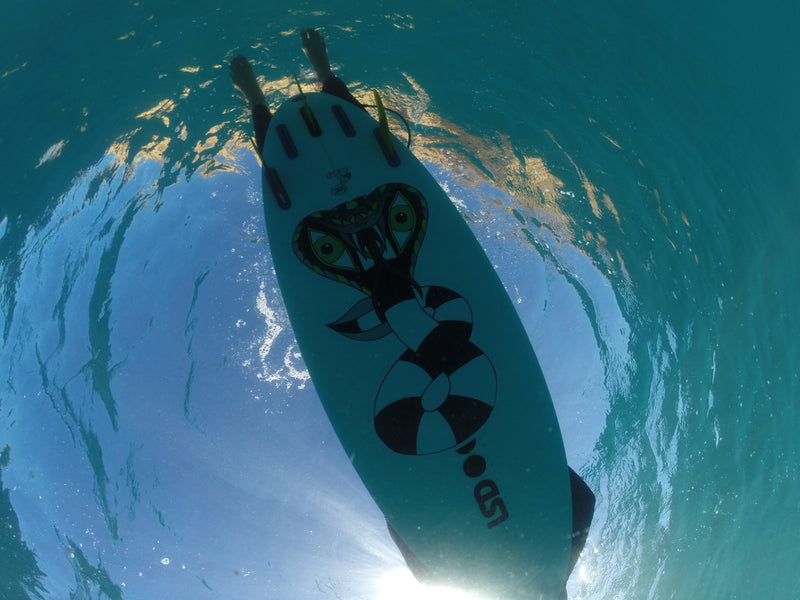 Mazorca KingCobra underwater